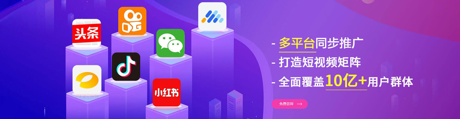 阳山竞价端口开户